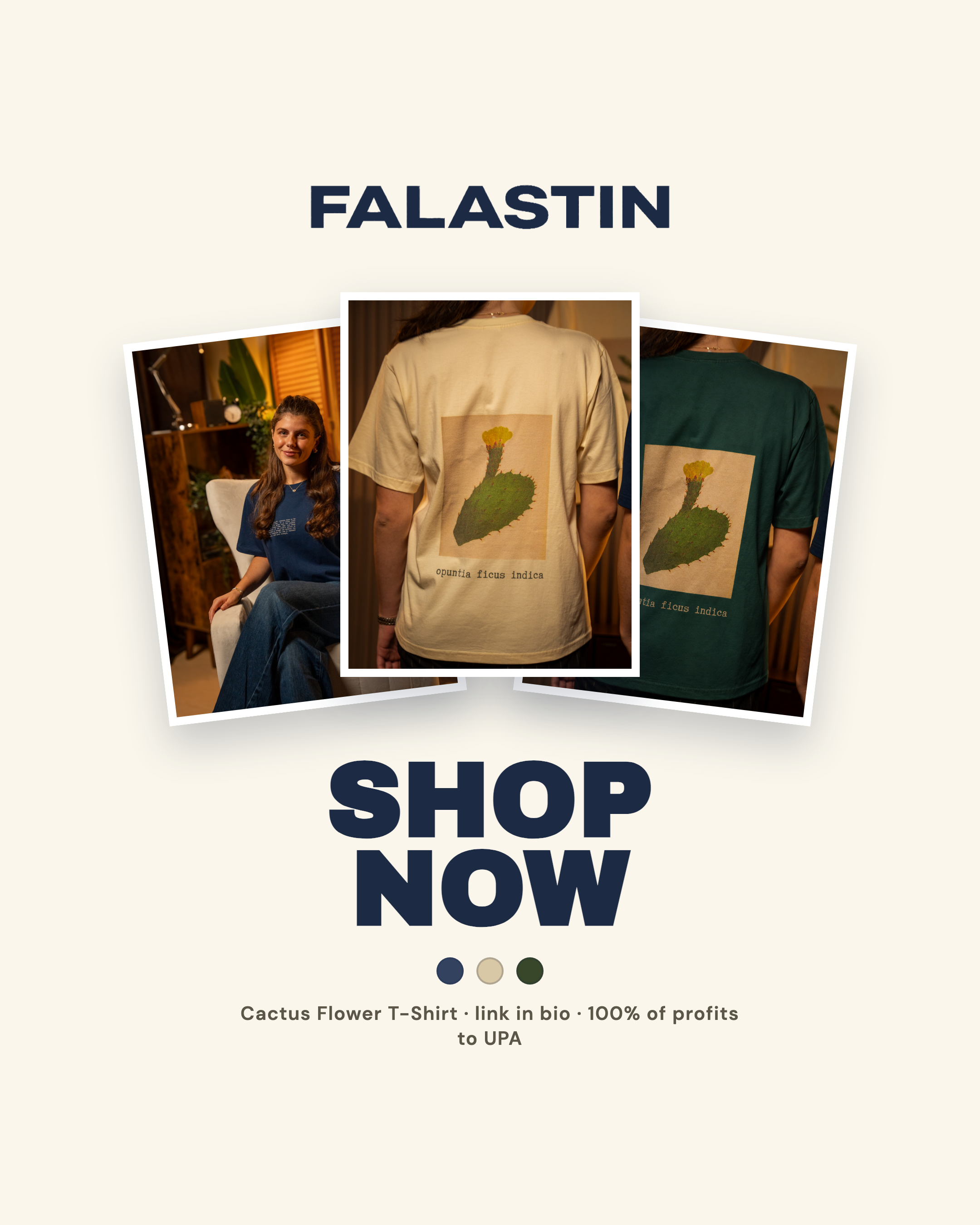 FALASTIN ad variant